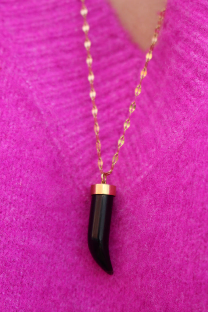 Colored horn Necklace (Stainless Steel)